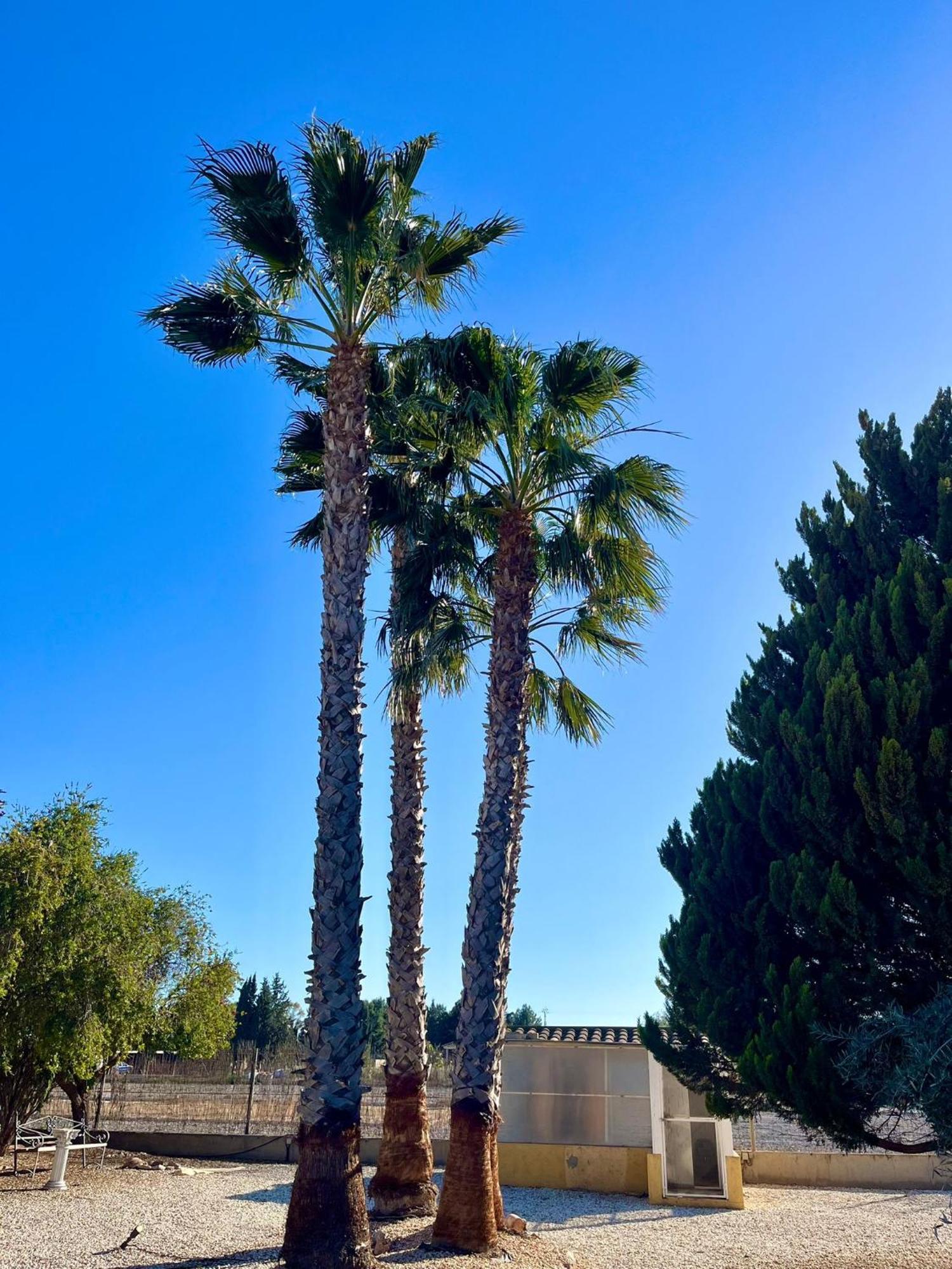 Chalet La Calma En Lorca Экстерьер фото